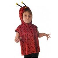 5-6 Years Children\'s Ladybird Tabard Costume