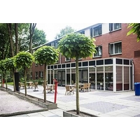 50/50 Hotel Belmont
