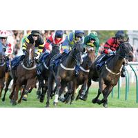 50% off Horse Racing Day at Lingfield Park for Two