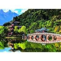 500pcs Black Dragon Pool Lijiang...