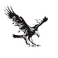 5050CM Reflective The eagle Personality Car Stickers(1pcs)