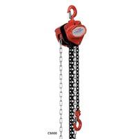 500kg SWL 2.5m lift Chain Block