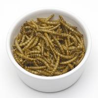 500g Bag Dried Mealworms