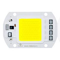 50W Utral Bright LED COB Chip 110V 220V Input Smart IC for DIY LED Flood Light (1 Piece)