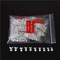 500 Pieces Of French Manicure Scallop Edge Nail Plate The Plum Blossom A Fake Nails