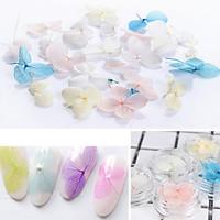 53Pcs/Box Colorful Dried Flower 3D Nail Decoration Preserved Flower Manicure Nail Art Decoration