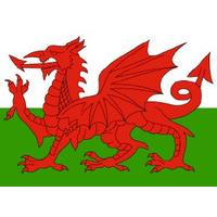 54 x 54cm Wales Bandana