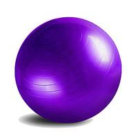 55cm Fitness Ball/Yoga Ball Gym Yoga PVC