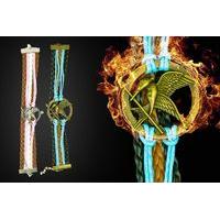 599 instead of 28 from bentleys bargain warehouse for a hunger games i ...