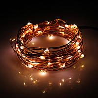 5M 50-LED Warm White Copper Wire String Fairy Light with AC Adapter Set (100-240V)