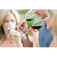 6 Hour Napa Valley Wine Tasting Tour from San Francsico