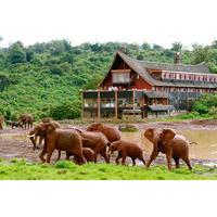 6-Day 3 Park Safari from Nairobi