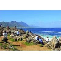6-Day Fully Guided Garden Route Tour from Cape Town