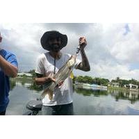 6-Hour Sarasota Inshore Fishing Trip