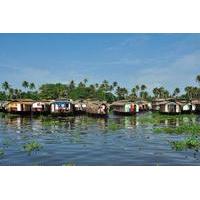 6-Day Private Tour: Periyar Wildlife Sanctuary and Backwater Houseboat Cruise in Kerala