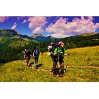 6-Day Hiking in Romania - The Highest Peaks