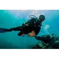 6 Diving Sites Scuba Diving Package in Gran Canaria