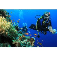 6 Dive Package at Ras Mohamed and Tiran Strait