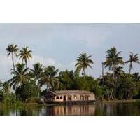 6-Night Kerala Tour from Kochi, Munnar, Alleppey, Kovalam to Trivendrum