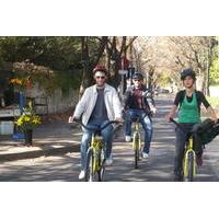 6-Hour Bike Tour from Buenos Aires to Tigre