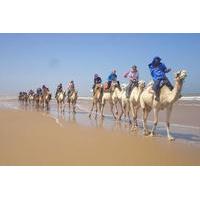 6-Hour Camel Ride in Essaouira with Picnic