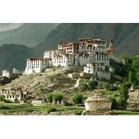 6-Day Himalayan Ladakh Tour: Buddhist Monasteries Lakes and Yaks from Leh