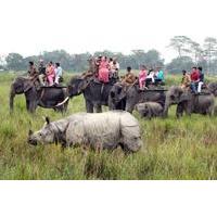 6-Day Tour of Exotic Northeast India: Mawsmai Caves, Double Decker Living Root Bridge and Kaziranga National Park