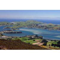 6 day south island southern heritage tour from christchurch