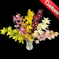 6 classic bespoke cymbidium orchids