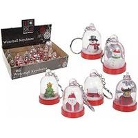 6 Assorted Waterball Keychains