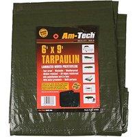 6\' x 9\' Tarpaulin - Blue