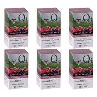 (6 Pack) - Qi - Green Tea Plus | 25 Bag | 6 Pack Bundle