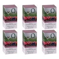 6 pack qi green tea plus 25 bag 6 pack bundle