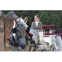 60 minute deluxe horse drawn carriage tour