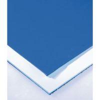 60 LAYER REPLACEMENT PAD BLUE CLEAN ROOM MAT