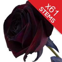 61 Black Roses
