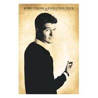 61cmx91.5cm Robin Thicke - The Evolution Poster