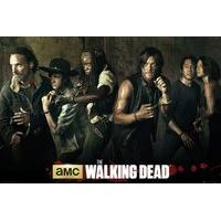 61cm x 91.5cm The Walking Dead Season 5 Poster