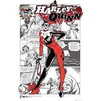 61cm x 91.5cm Dc Comics Harley Quinn Posters