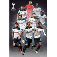 61 x 91.5cm Tottenham Hotspur Players 16/17 Maxi Poster