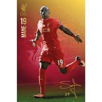 61cm x 91.5cm 2016/2017 Liverpool Mane Poster.