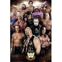 61cm x 91.5cm Wwe Legends Poster.