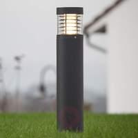 65 cm high LED pathway light Lucius