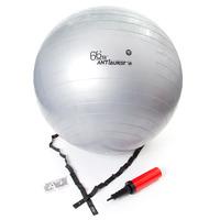 66fit Gym Ball with Pump - Silver - 65cm