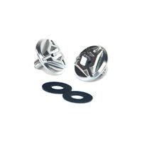 6D Visor Side Screw 2 Piece Set