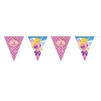 6m princess birthday party bunting