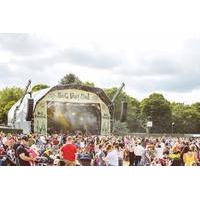 7 for a childs ticket to big day out festival at mote park on 1st jul  ...