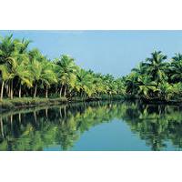 7-Day Tour: Spice Lands of Kerala from Kochi