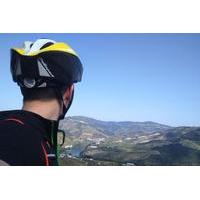 7 day douro wine bike tour from porto moderate