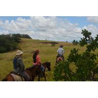 7-Day Guyana Wild Ranch Adventure from Lethem